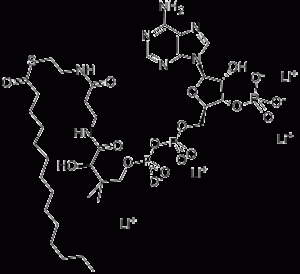 肉豆蔻酰辅酶A锂盐-凯途化工网
