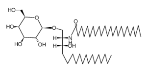 1-O-(β-D-Galactopyranosyl)-N-tetracosanoyl-DL-dihydrosphingosine-凯途化工网