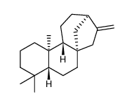 Ent-kaurene-凯途化工网