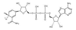 (R)-NADH-d1-凯途化工网