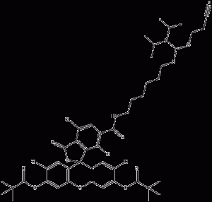 6-TET氨基磷酸酯[5'-四氯荧光素氨基磷酸酯]-凯途化工网