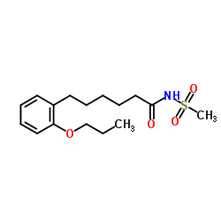 MS-PPOH-凯途化工网