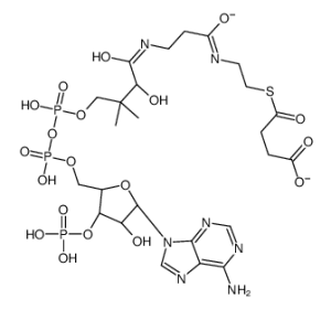 琥珀酰辅酶A钠盐-凯途化工网