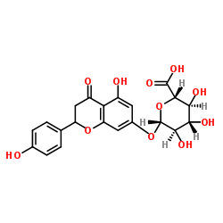 柚皮素-7-O-葡萄糖醛酸苷-凯途化工网