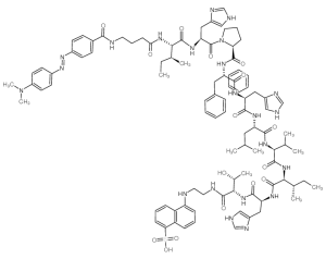 Renin FRET Substrate I-凯途化工网