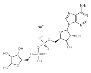 腺苷5'-二磷酸核糖钠盐-凯途化工网