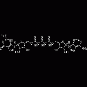 Guanosine 5'-triphosphate-5'-adenosine-凯途化工网