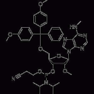 5'-O-DMTr-2'-O-methyl-N6-methyl adenosine 3'-CED phosphoramidite-凯途化工网