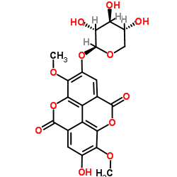 3,3'-二-O-甲基-4-O-(BETA-D-吡喃木糖基)鞣花酸-凯途化工网