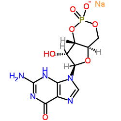 鸟苷3',5'-环一磷酸钠盐(cGMP)-凯途化工网