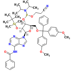 N-苯甲酰基-5'-O-(4,4-二甲氧基三苯甲基)-2'-O-[(叔丁基)二甲基硅基]腺苷-3'-(2-氰基乙基-N,N-二异丙基)亚磷酰胺-凯途化工网