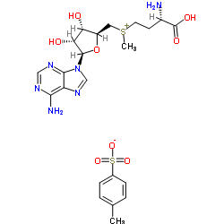 R,S-(5'-腺苷)-L-蛋氨酸对甲苯磺酸盐-凯途化工网