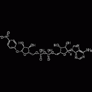 腺苷 5'-(三氢二磷酸酯), P'-5-(4-硝基苯基 BETA-D-呋喃核糖苷)酯-凯途化工网